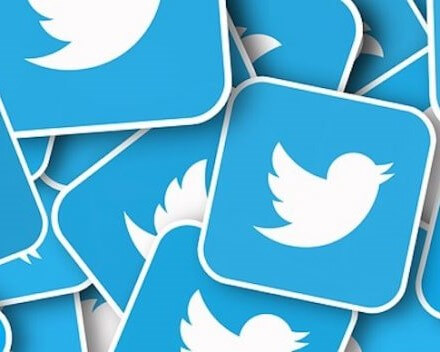 Twitter's 2020 diversity report shows promise!